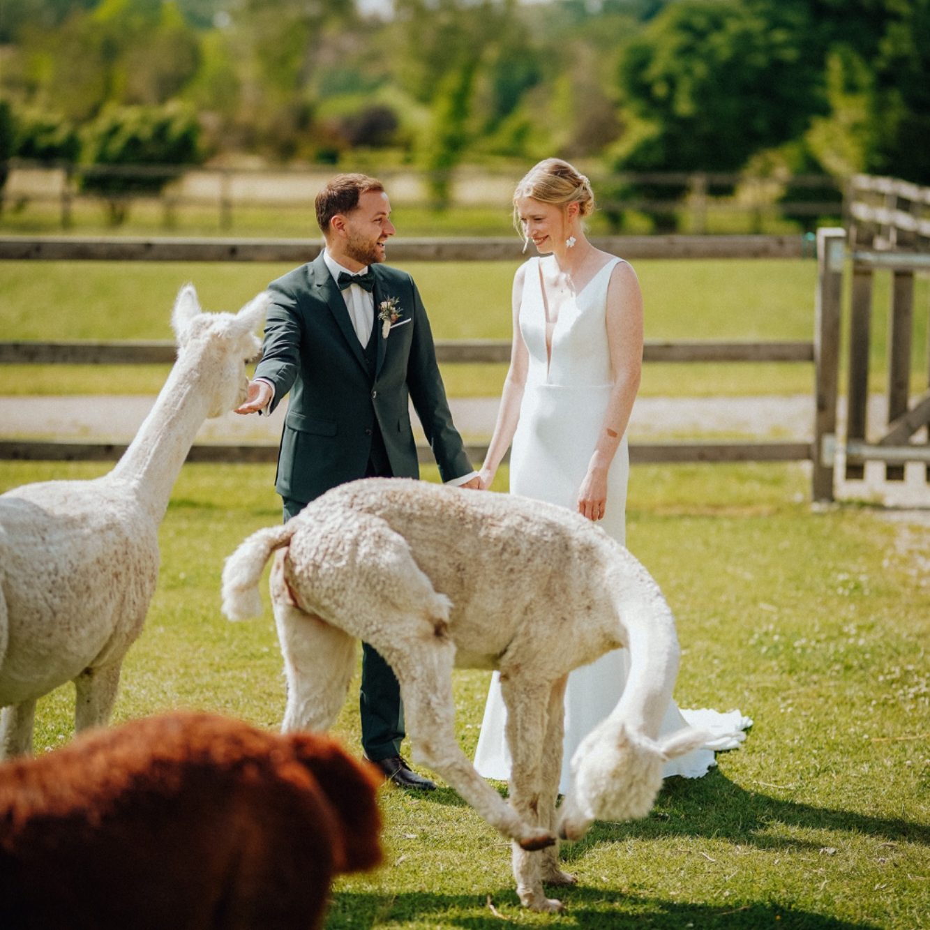 Emotionaler Moment eines Brautpaares bei einer Hochzeit in Bielefeld